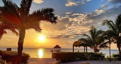 Beach front, reef view, sleeps 8