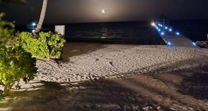 Beach front, reef view, sleeps 8