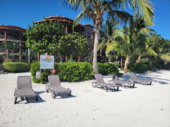 A beach with sun loungers, palm trees, and a sign for Indigo hotel.