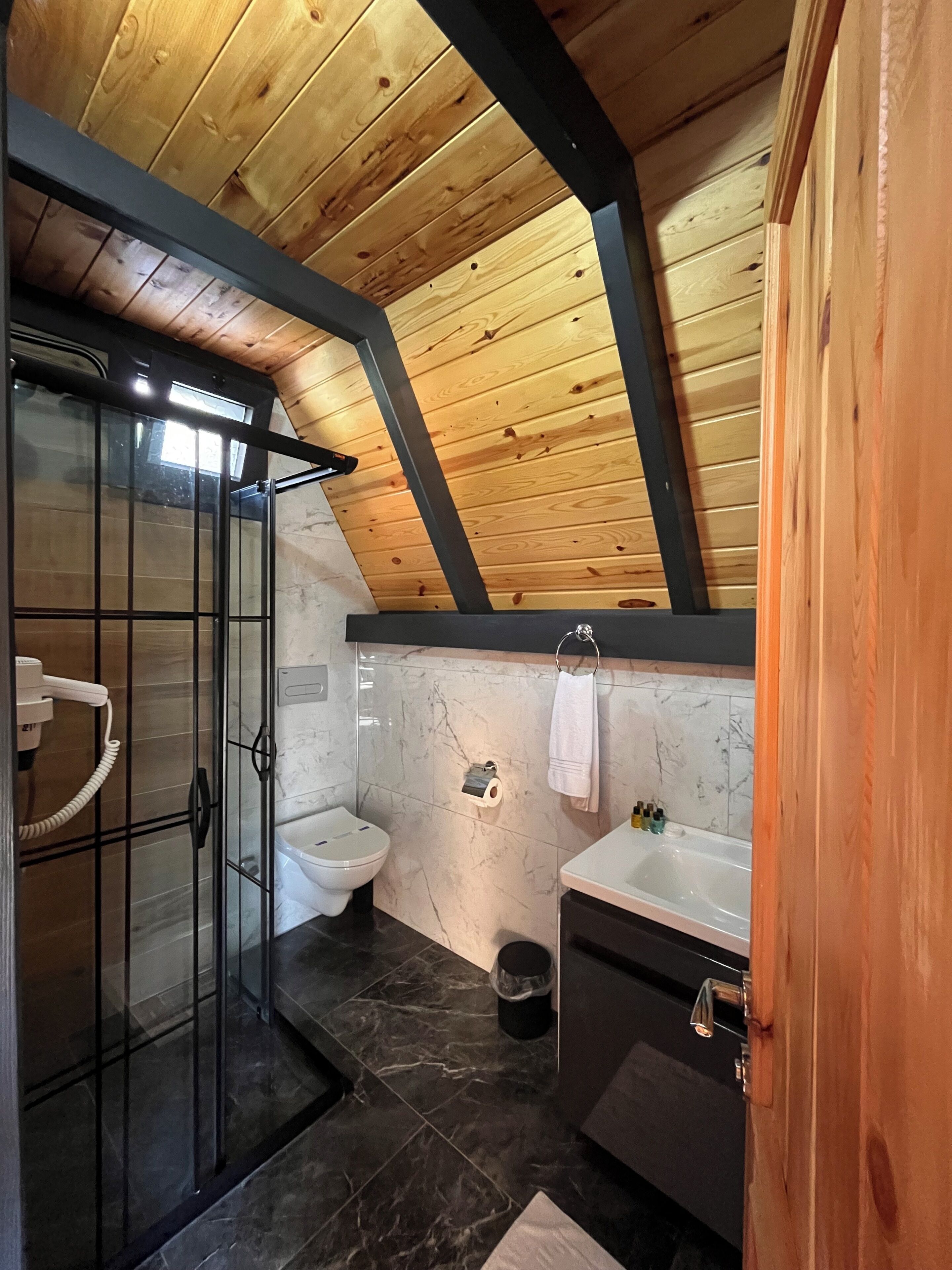 Towels, soap, shampoo, toilet paper