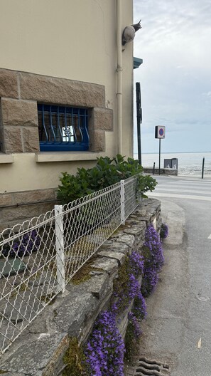 Property grounds - Seaside Apartment - Les Viviers de la Houle (Cancale)