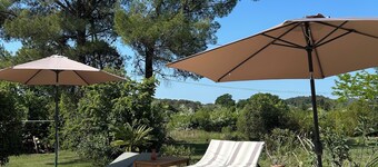 The Villa des OLiviers and its superb swimming pool