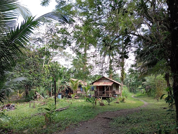 Cabaña, 1 habitación, con acceso para personas discapacitadas, para fumadores | Jardín
