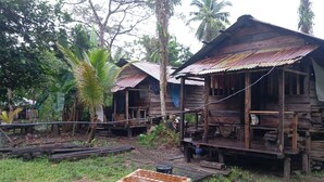 A rustic wooden structure with a porch, surrounded by greenery and palm trees.