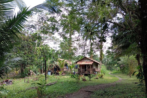 Cabin, 1 Bedroom, Accessible, Smoking | Garden