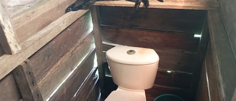 Cabaña, 1 habitación, accesible para personas con discapacidad, fumadores | Baño