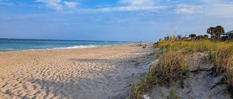 Playa en los alrededores