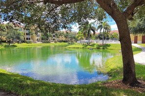 Property grounds - Beautiful bright condo with a balcony & W/D - pool, gym, and game room access (Fort Myers)