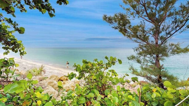 Ein Strand mit klarem Wasser, eine Person geht spazieren und ein Baum im Vordergrund.
