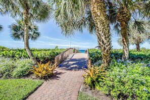 Property grounds - Oceanfront condo with pool, fast WiFi, & amazing view - snowbird-friendly (Naples)