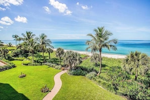 Ein gepflegter Garten mit einem Weg zum Strand, umgeben von Palmen und üppiger Vegetation.