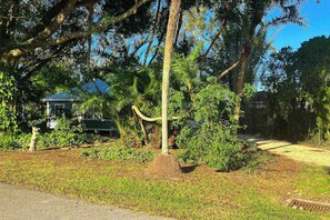 Property grounds - Classic dog-friendly cottage with kitchen, washer/dryer, & central AC (Bonita Springs)