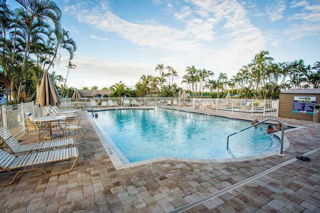 A swimming pool with lounge chairs and palm trees.
