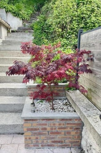 Cosy house with terrace near Rouen - Peace and comfort 10 min from the center