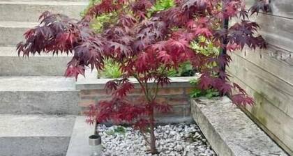 Cosy house with terrace near Rouen - Peace and comfort 10 min from the center