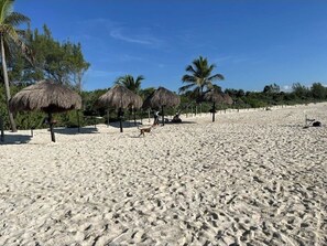 Ein sandiger Strand mit Reetsonnenstühlen und Palmen.