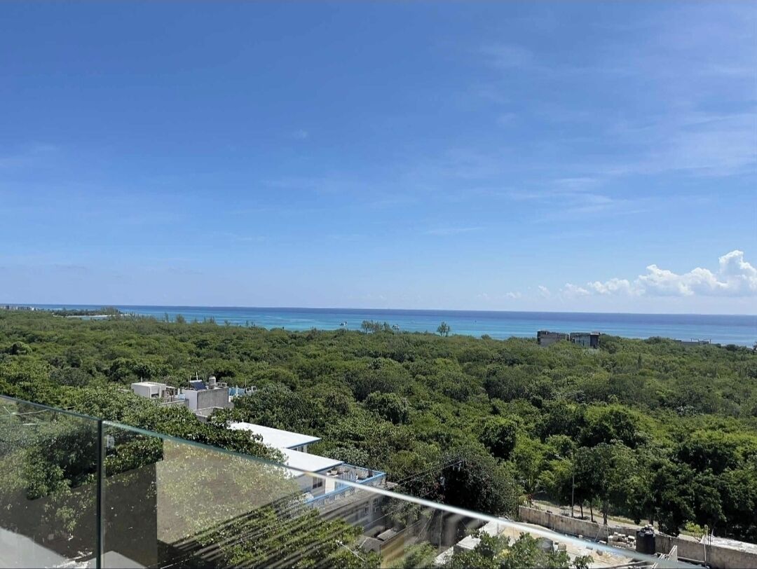 Une vue sur la côte, avec une végétation luxuriante et un ciel dégagé.