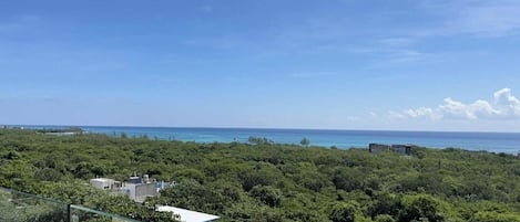 Une vue sur la côte, avec une végétation luxuriante et un ciel dégagé.