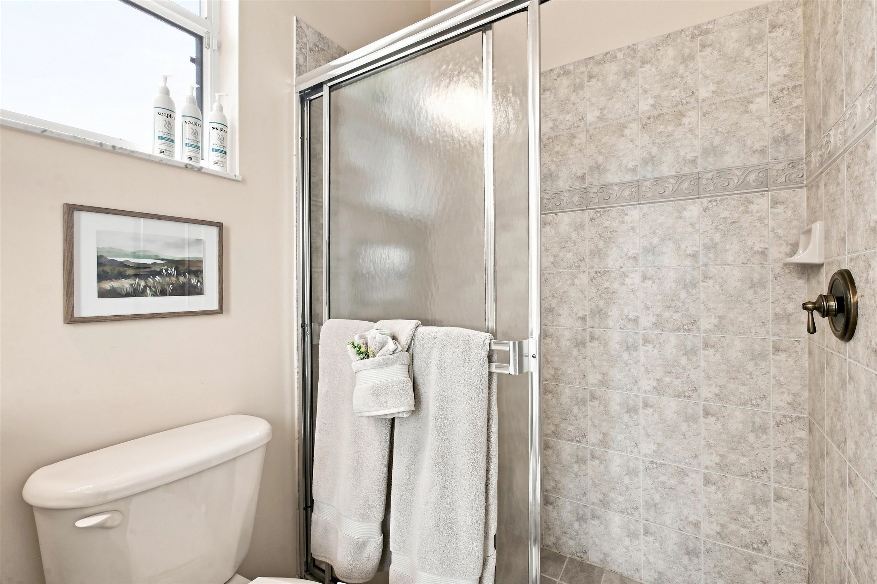 Een badkamer met een douchecabine van glas, een toilet en een ingelijst schilderij aan de wand.