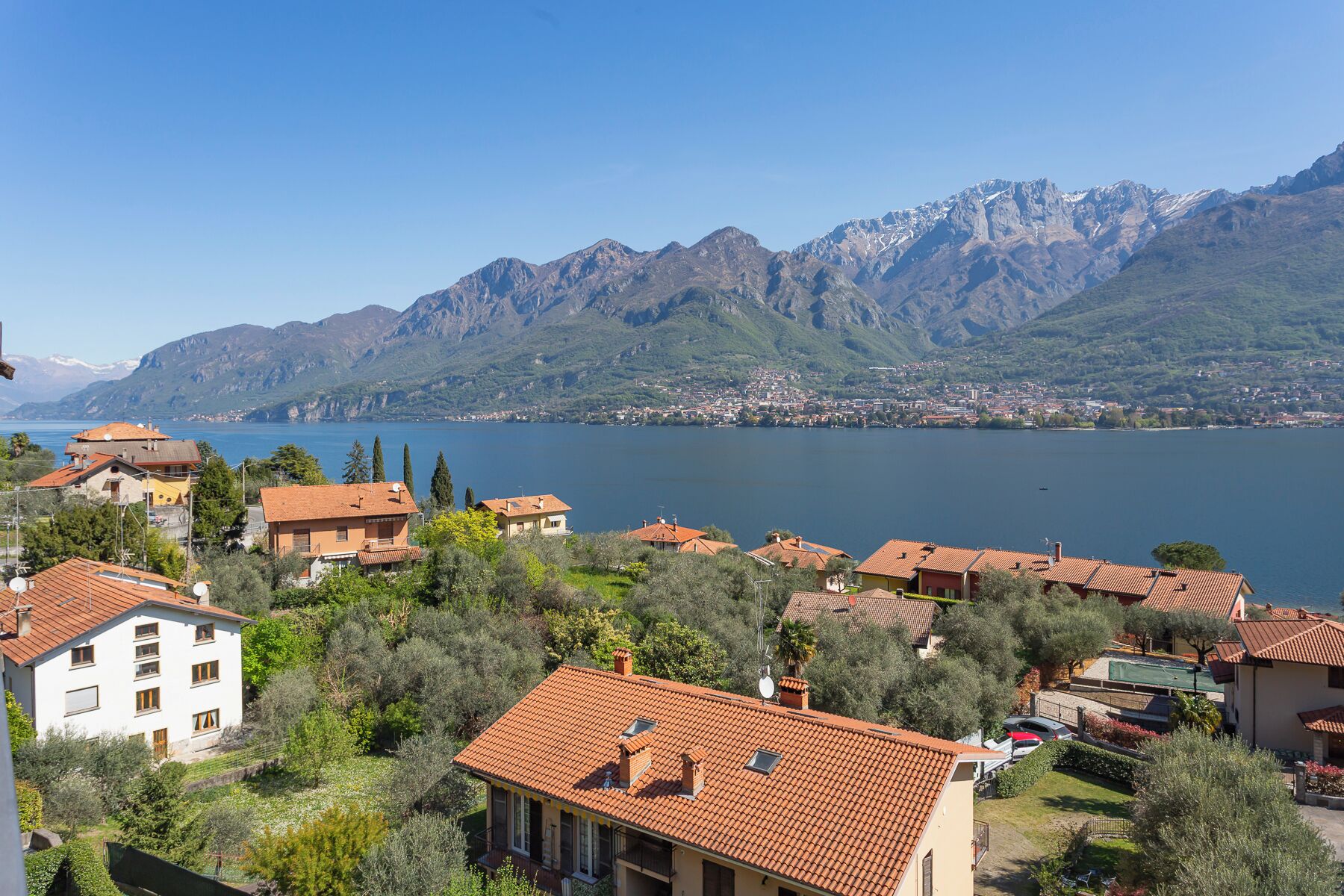 A residential area with houses, a lake, and mountains in the background.