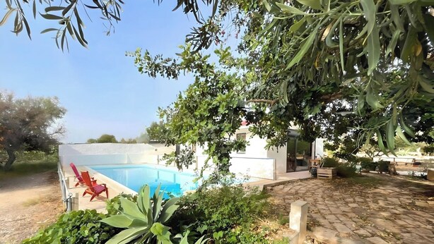 A pool area with a concrete deck, a small building, and a tree providing shade.