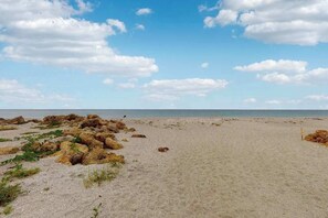 Ein Strand mit vereinzelten Felsen und spärlicher Vegetation.