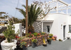 Un jardin sur le toit, agrémenté de plantes en pot, d’un cactus et d’une structure en forme de pergola.