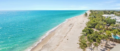 A beach with a clear view of the ocean and a residential area with houses and palm trees.