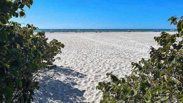 A beach with clear skies and calm water, surrounded by greenery. - First-floor condo with shared pool, washer & dryer, beach access (Marco Island)
