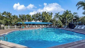 Une piscine rectangulaire dont la profondeur est indiquée à 6 pieds, entourée de chaises longues et de palmiers.