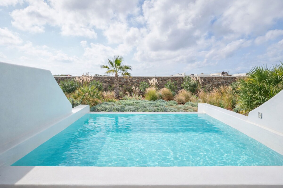 Una piscina infinita con vista a aguas azules cristalinas, rodeada de diversas plantas y un muro de piedra.
