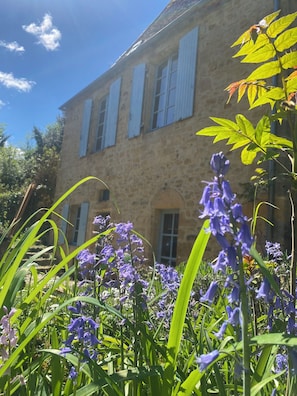 Ein Steinhaus mit vielen Fenstern und einem Garten mit violetten Blumen.