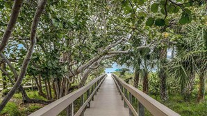 Un muelle de madera serpentea por un área verde y exuberante con árboles y follaje.