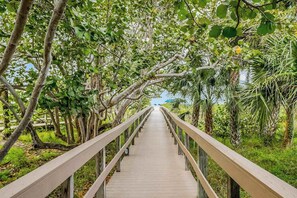 A wooden boardwalk surrounded by lush greenery and trees. - Beachfront condo with a pool, a hot tub, central AC, & on-site restaurants (Marco Island)