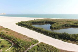Eine Küstenlandschaft mit Sandstrand, einem Gewässer und üppiger Vegetation.