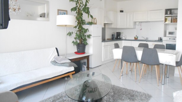 Ein modernes Wohnzimmer mit einer Couch, einem Glastisch, einem Essbereich mit Stühlen, einer Küche mit Schränken und einer Zimmerpflanze.
