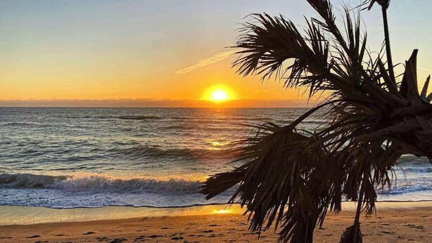 Een zonsondergang boven de oceaan met een palmboom op de voorgrond.