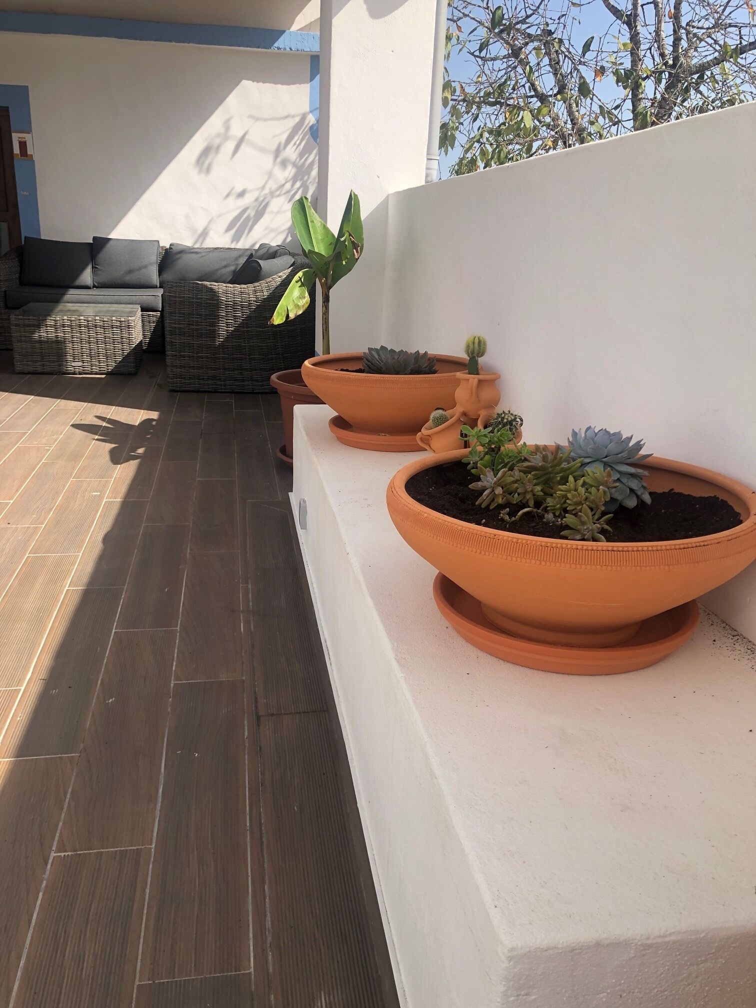 Terrasse/gårdhave