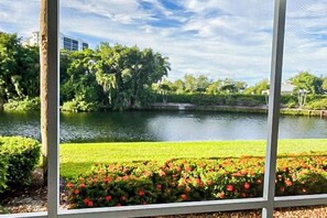 Property grounds - Lakefront getaway with walk-out lanai, pool, tennis/Bocce courts & marina (North Naples)