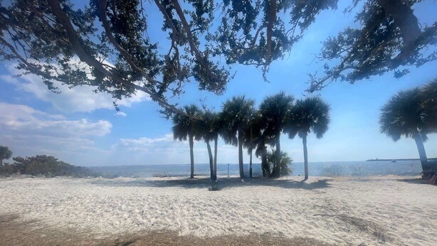 En strand med sand, palmer och en klar himmel.