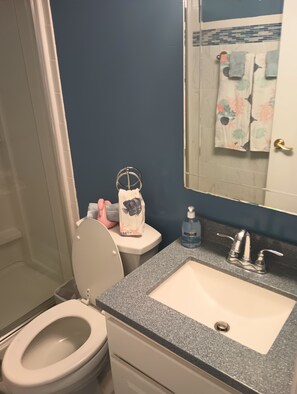 Shower, hair dryer, towels, toilet paper - beyond paradise a lovely 2 bedroom 2 bath condo (Nags Head)