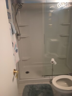 Regadera, secadora de cabello, toallas, papel de baño 