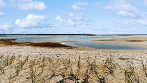 A beach with sand, water, and sparse vegetation. - Beachfront condo with balcony, community pool, and Wifi (Fort Myers Beach)