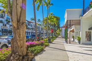 A tree-lined street with palm trees, parked cars, and storefronts. - Beautiful home w/ heated in ground pool, wifi, dog-friendly, and sundeck (Naples)