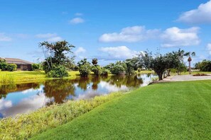 Property grounds - Dog friendly home with heating optional pool, lanai, and washer & dryer (Rotonda West)