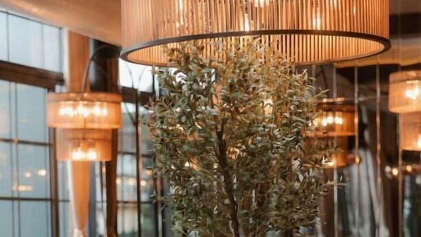 A modern interior with round tables and orange chairs, a central plant, and hanging lamps. - TRADICIJA HOTEL (Banja Luka)