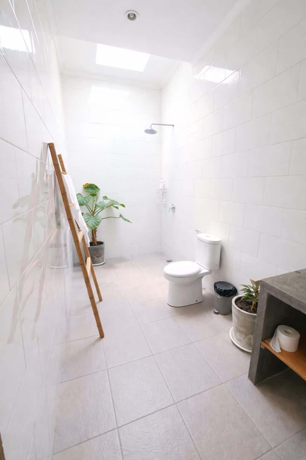 Ducha