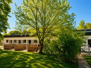 A stable with a tree, a building with windows, and a paved path.