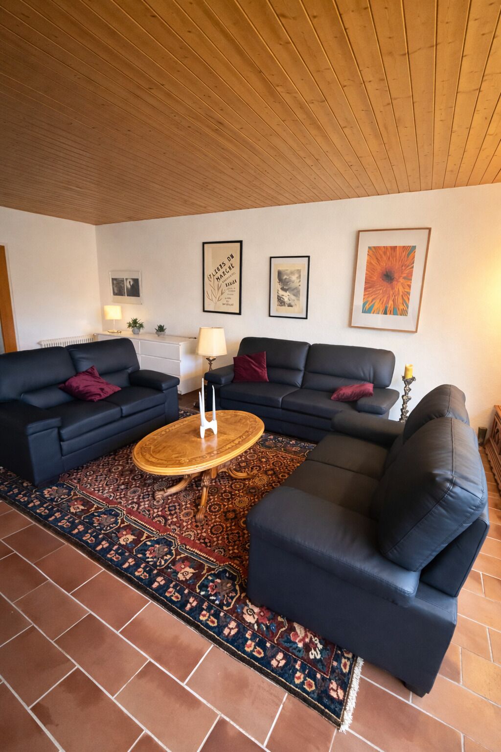 TV, fireplace, books