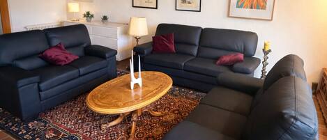 Televisión, chimenea, libros